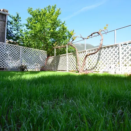 Meltemi Vasiliki (Lefkada)